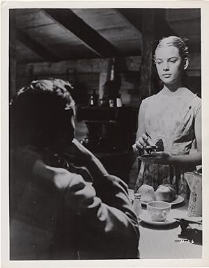 The Young One (Collection of 21 original photographs from the 1960 film)