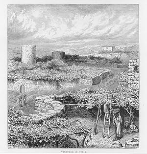 VINEYARD IN SYRIA ANTIQUE BIBLICAL ART PRINT FROM AN 1890's PUBLICATION