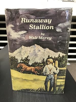 Runaway Stallion