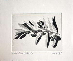 Olivenzweig, 1991. Aquatinta. Exemplar Epr. d'Art., links unten signiert und datiert: Albert Maue...