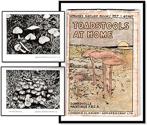 Toadstools at Home Cowan's Nature Books No. 7