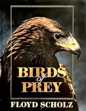 Birds of Prey