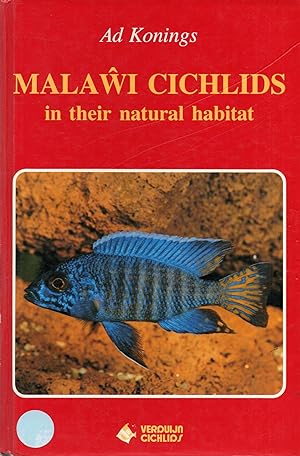 Malawi Cichlids in Their Natural Habitat