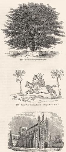 369. Yew-tree in Hayes Churchyard; 368. Royal Party hunting Rabbits. (Royal MS. 2 B vii); 372. Wi...
