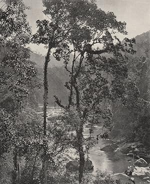 Kurunegala - View on the Kelani river