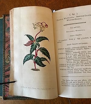 THE BOTANICAL MAGAZINE. Or, Flower-Garden displayed: In which the most ornamental Foreign plants,...