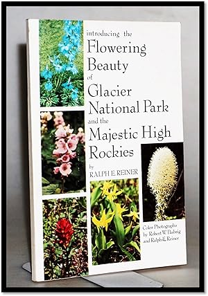 Introducing the Flowering Beauty of Glacier National Park and the Majestic High Rockies