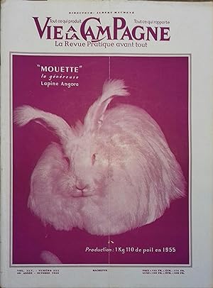Vie à la campagne numéro 552. Couverture et article (4 pages) : lapins angora. Octobre 1956.