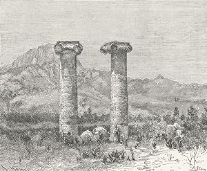 Fig. 131 Sardes - Columns of the Temple of Cybele