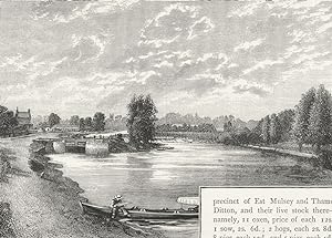 The Thames at Molesey