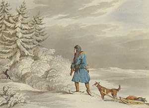 A Siberian Exile shooting a black Fox