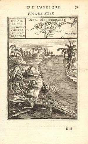 Du Nil de ses Embouchures et des Crocodiles - De L'Afrique