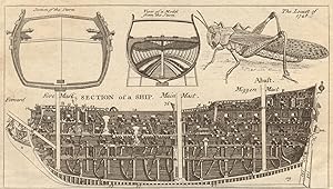 Fig 1 - Section of a ship. 2 - The Locust of 1748