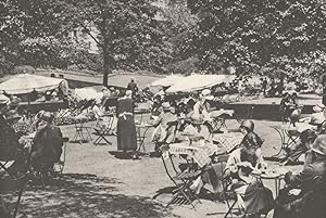 Continental Lunch-time scene Beneath the trees in the Embankment gardens at Charing cross