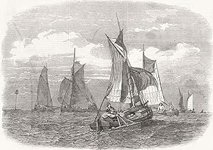 Shrimping off the Bligh, at the mouth of the Thames