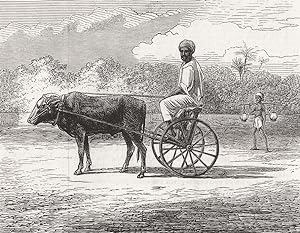 Ramasawmy going to Bazaar, Madras
