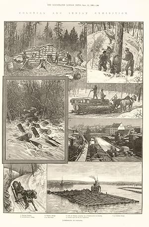 Lumbering in Canada. 1. Felling Timber, 2. Lumbermen's Camp, 3. Timber Sledge, 4. A Roll-way, 5. ...