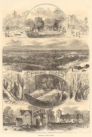 Sketches in Epping Forest. Fairmead Lodge. Chingford Church. The Roebuck, Buckhurst Hill. View fr...