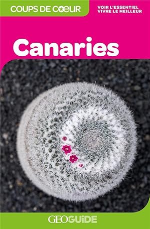 GEOguide coups de coeur : Canaries (édition 2019)