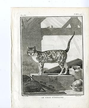Antique Print-SPANISH CAT BREED-PL. 3-Buffon-Baqouy-1756