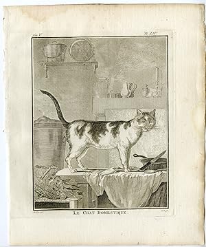 Antique Print-DOMESTIC CAT-HOUSE-FELIS CATUS-PL. 54-Buffon-1756