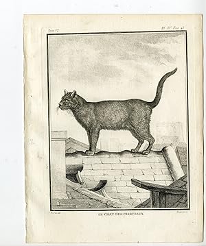 Antique Print-DOMESTIC CAT-CHARTREUX-PL. 4-Buffon-Lempereur-1756