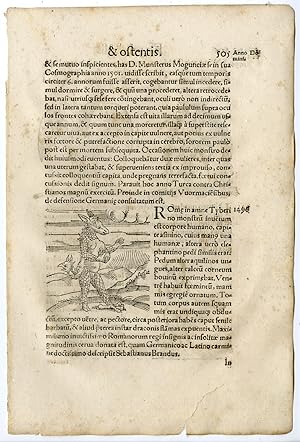 Rare Antique Print-CREATURE-MONSTER-ROME-PIG-GOOSE-DEFORMITY-Lycosthenes-1557