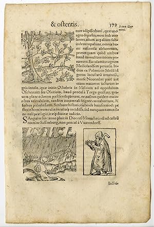 Rare Antique Print-LOCUST PLAGUE-BLOOD RAIN-BIRTH DEFORMITY-Lycosthenes-1557