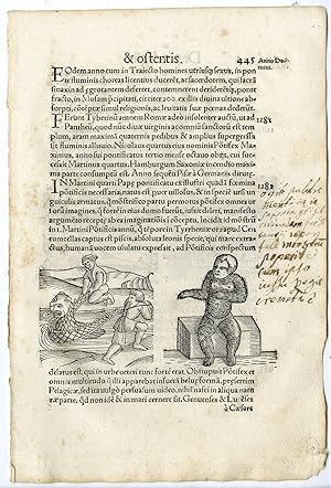Rare Antique Print-HAIRY CREATURE-TIBER-ITALY-EARTHQUAKE-COMET-Lycosthenes-1557