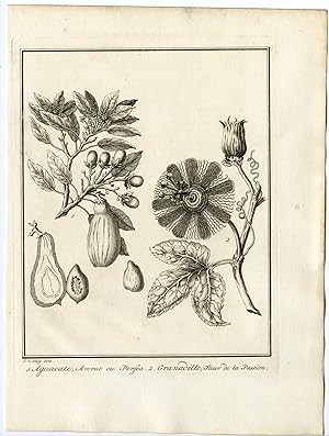 Antique Print-AVOCADO-SWEET GRANADILLA-GRENADIA-FRUIT-Schley-Prevost-1777