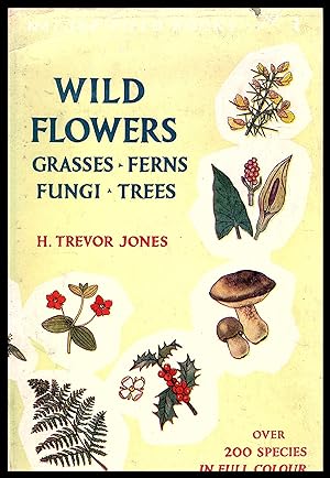 Wild Flowers - Grasses, Ferns, Fungi & Trees by H Trevor Jones 1952