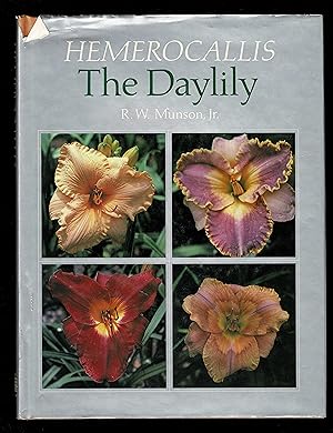 Hemerocallis, The Daylily