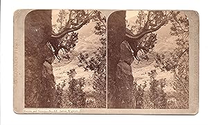 MANITOU AND VICINITY--No. 31: INDIAN WIGWAM (Albumen Stereoview)