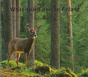 White-tailed Deer in Finland