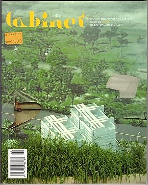 Cabinet: A Quarterly of Art and Culture. Winter 2005-2006, Issue 20 Ruins