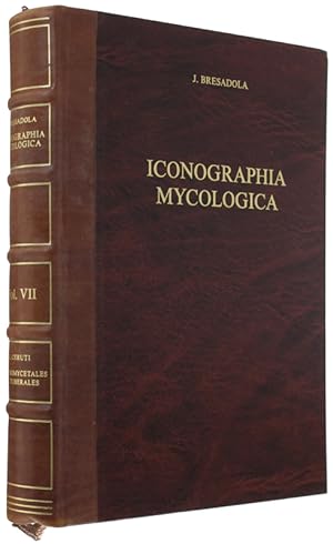 ICONOGRAPHIA MYCOLOGICA Vol. XXVIII Supplementum II del volume VII: ELAPHOMYCETALES ET TUBERALES: