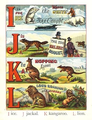 The ABC of Animals