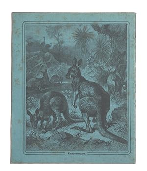 Child's exercise book with decorated Kangaroo covers