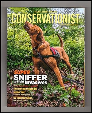 New York State Conservationist - August/September 2020. Super Sniffer Dog to Fight Invasives; Dam...