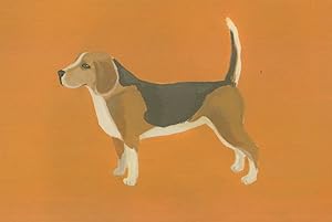 Beautiful Beagle Dog Painting Postcard