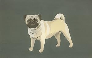 Pug Dog With Tail In A Circle Painting Postcard
