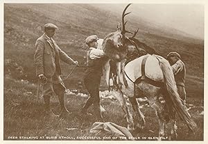 Deer Stalking At Blair Atholl Animal Hunting Rare Postcard