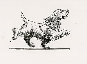 Cocker Spaniel Dog Running Painting Postcard