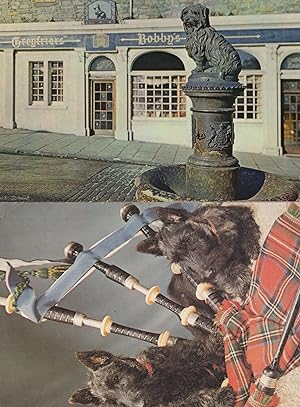 Faithful Greyfriars Bobby Memorial Edinburgh 2x Scottish Dog Postcard