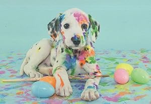 Dog Covered In Rainbow Paint Disaster Comic Postcard
