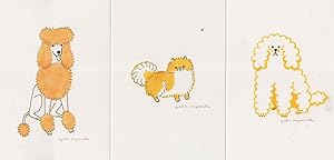Posh Poodles With Unique Yellow Coats 3x Dog Postcard s