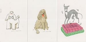 Greyhound Racing On Bed Poodles Dogs Posh Fur 3x Postcard s