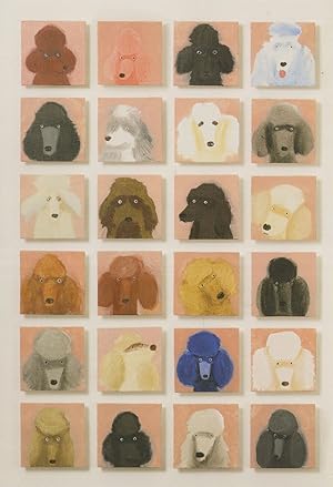 24x Poodle Window Colourful Dogs Art Dog Postcard
