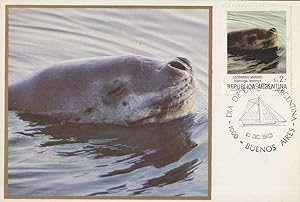 Argentina Sea Lion Swimming 1983 First Day Cover Postcard