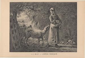 JF Millet L'Agneau Nouveaune Baby Sheep French Painting Postcard